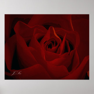 Poster de Rose rouge profonde