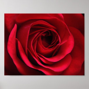 Poster de Scarlet Matte