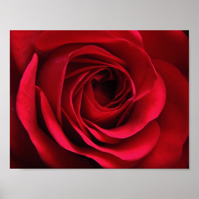 Poster de Scarlet Matte (Devant)