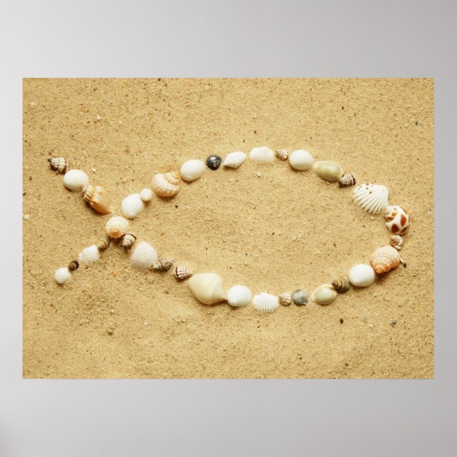 Poster de Seashell Ichthys (Devant)