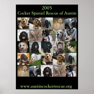 Poster de Secourt Cocker Spaniel 2005