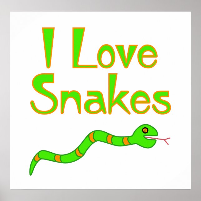 Poster de serpent (Devant)