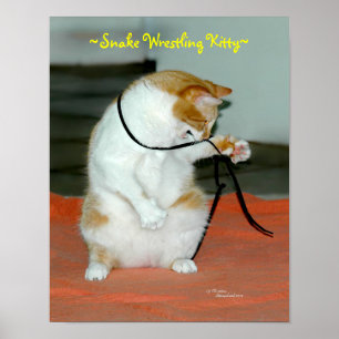 Poster de serpent de lutte de chats amusants