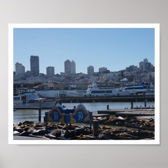 Poster de SF City Skyline & Pier 39 Sea Lions #1-2 (Devant)