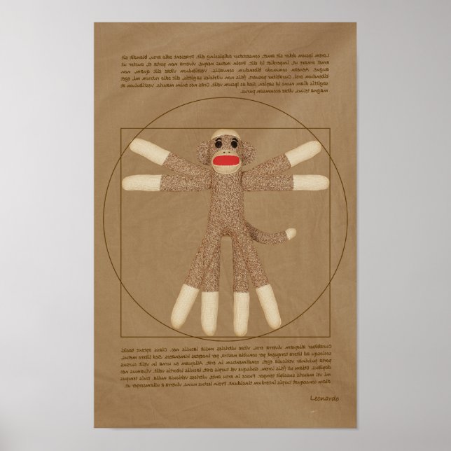 Poster de singe vitruvien (Devant)