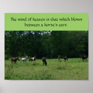 Poster de soutien Secourt du cheval de course