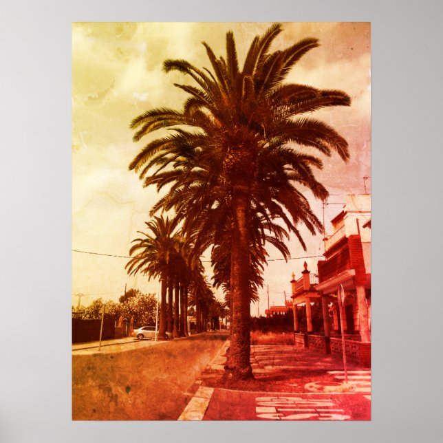 Poster de style Vintage Palm Tree (Devant)