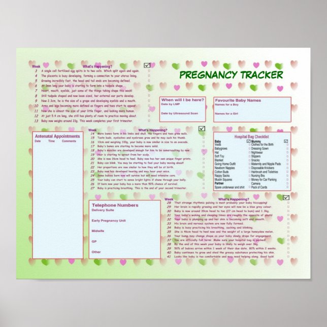 Poster de suivi de grossesse (Devant)