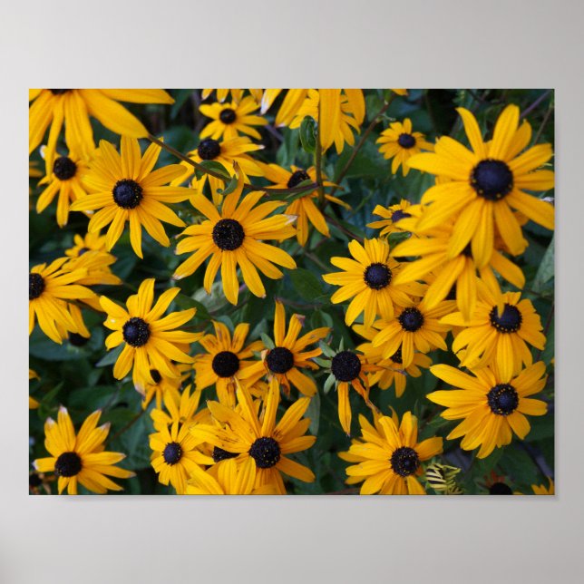 Poster de Susan Flowers aux yeux noirs (Devant)