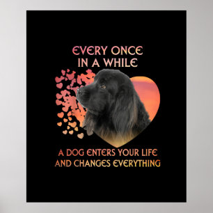 Poster De Temps En Temps Un Chien Entre Dans Votre Vie