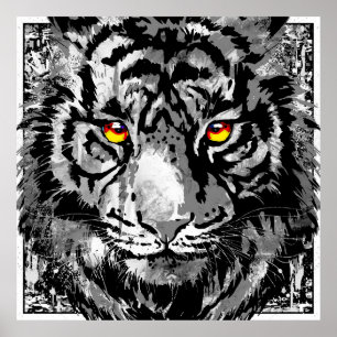 Poster de tigre blanc - Tiger coloré Tiger Tête Ar