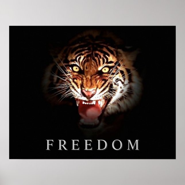 Poster de tigre de liberté de motivation (Devant)