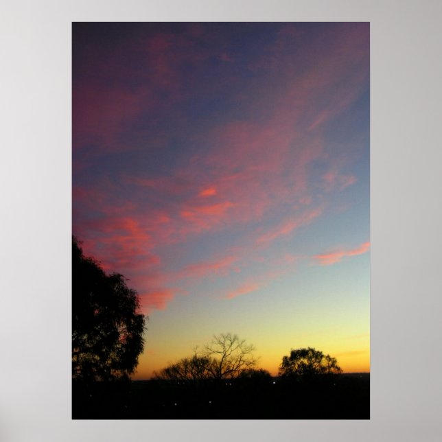 Poster de toile de la nature (Devant)