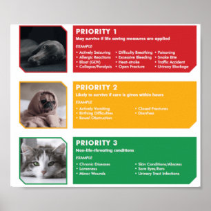 Poster de Triage