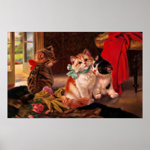 Poster de trois chats Vintages