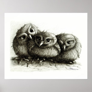 Poster de trois si mignonnes babines