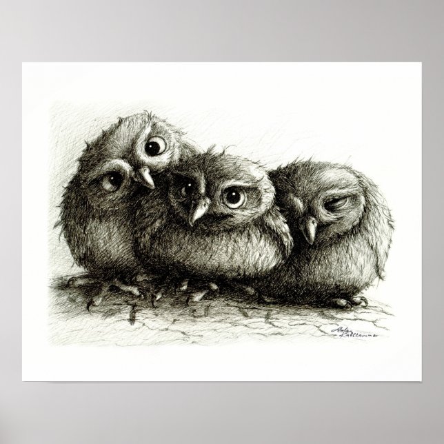 Poster de trois si mignonnes babines (Devant)