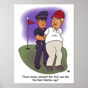 Poster de Trump Felonies