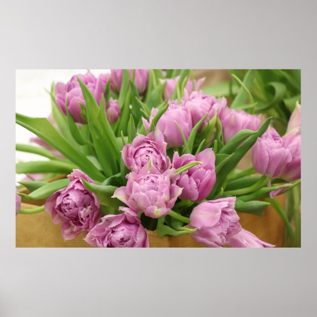 Poster de Tulipes roses (Devant)