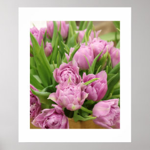 Poster de Tulipes roses