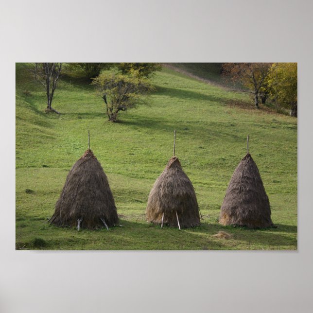 Poster de valeur Bales de paille en papier (Devant)