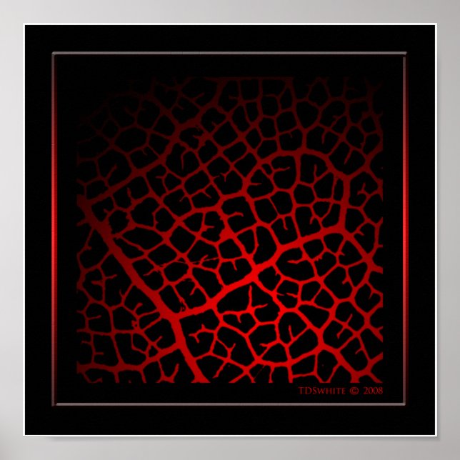 Poster de Vein (Devant)