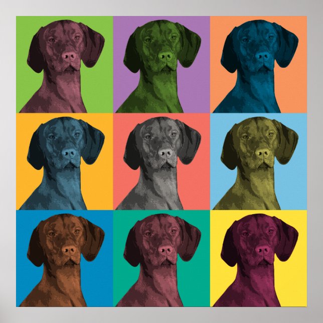 Poster de Vizsla Pop-Art (Devant)