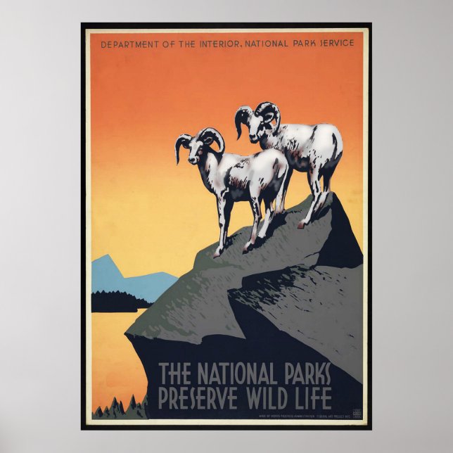 Poster de voyage des moutons du parc national vint (Devant)