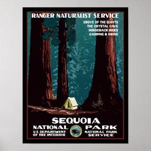 Poster de voyage du parc national Sequoia