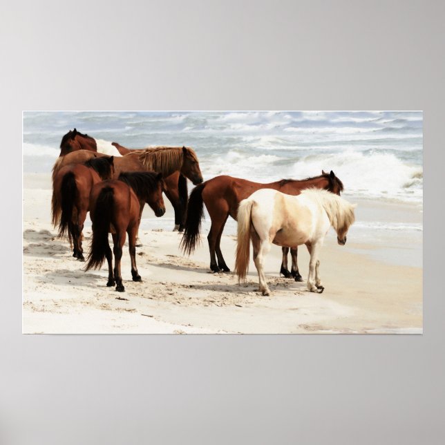 Poster de Wild Ponies (Devant)