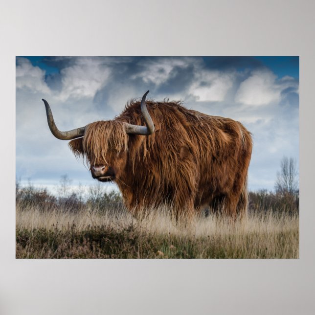 Poster de Yak (Devant)
