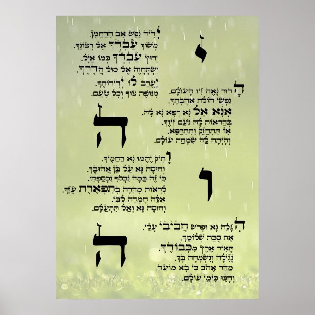 Poster de Yedid Nefesh (Devant)