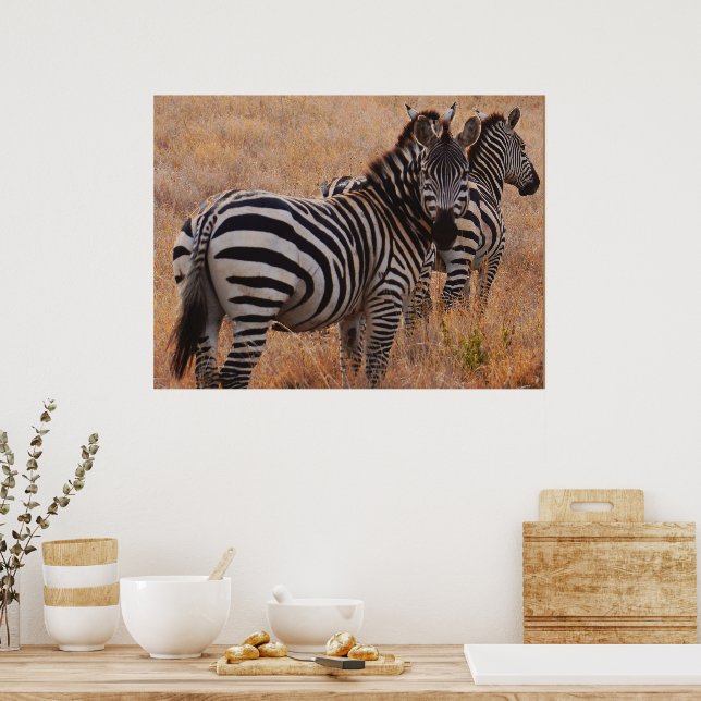 Poster de Zebra au Kenya (Cuisine)