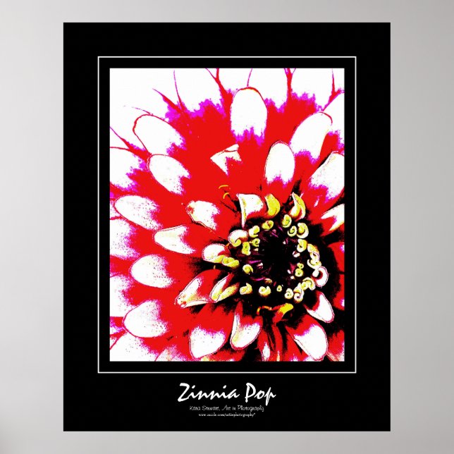 Poster de Zinnia Pop (Devant)
