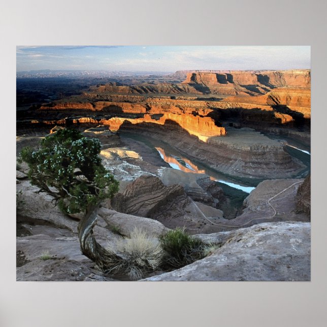 Poster Dead Horse Point (Devant)