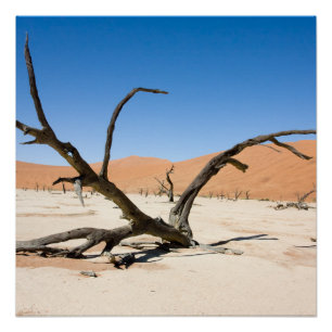 Poster Dead Vlei, Namibie