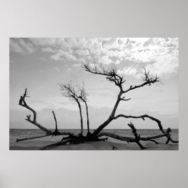 Poster Dead Wood (Devant)