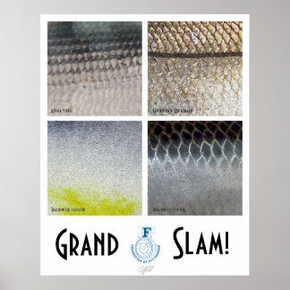 Poster d'eau salée Grand Slam