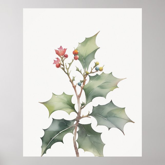 Poster Décembre Fleur de naissance Holly (Devant)