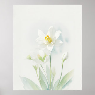 Poster Décembre Narcisse Fleur de naissance