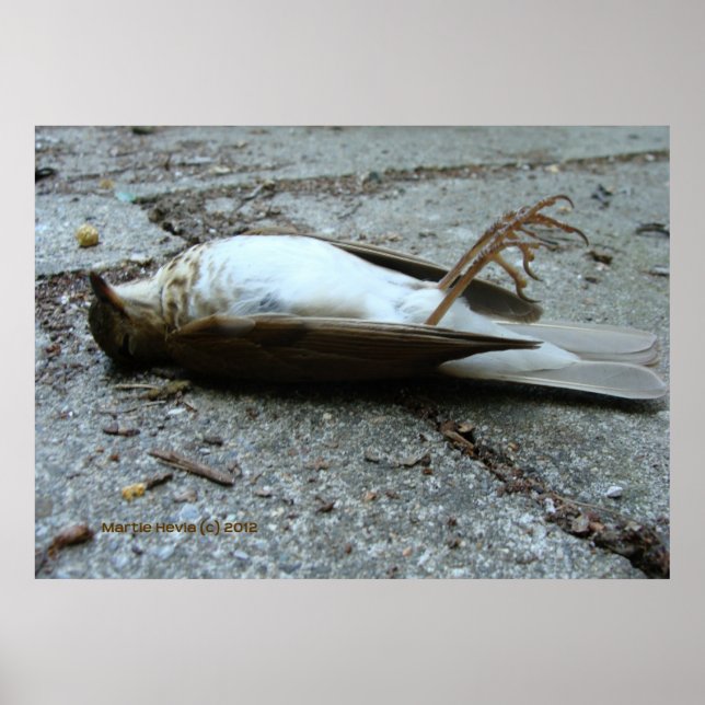 Poster Décès (Devant)