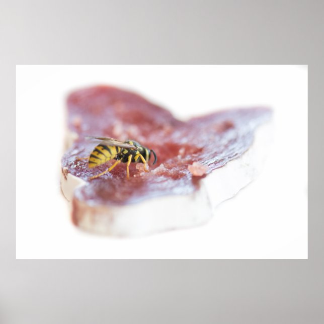 Poster Déchets mangeant une saucisse (Devant)