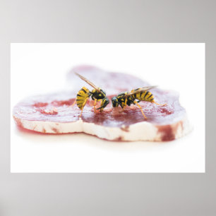 Poster Déchets mangeant une saucisse