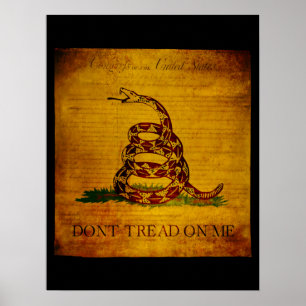 Poster Déclaration des droits de Gadsden