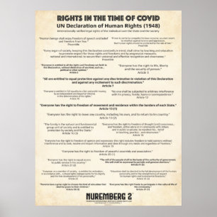 Poster Déclaration Des Nations Unies Sur Les Droits De L'