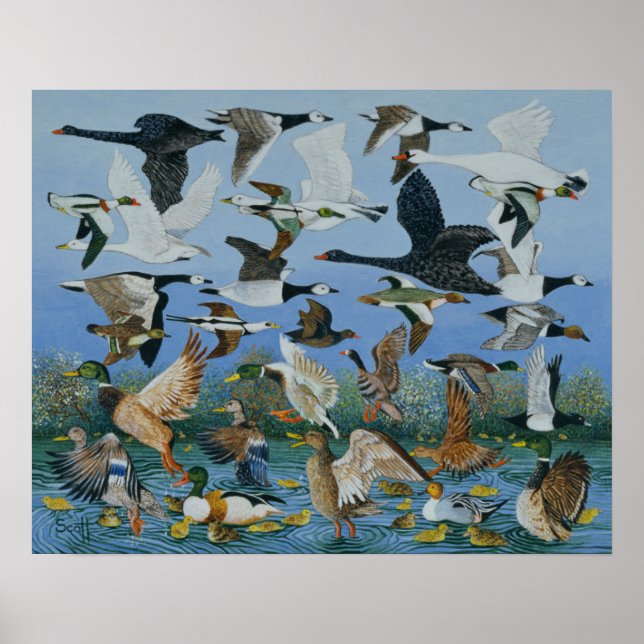 Poster Décollage 1996 (Devant)