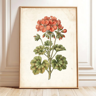 Poster Décor de maison botanique vintage au géranium