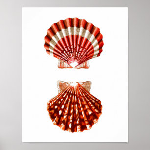 Poster Décor de maison de plage de l'impression no.9