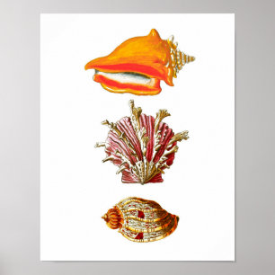Poster Décor de mur de plage de l'impression no.10 d'art