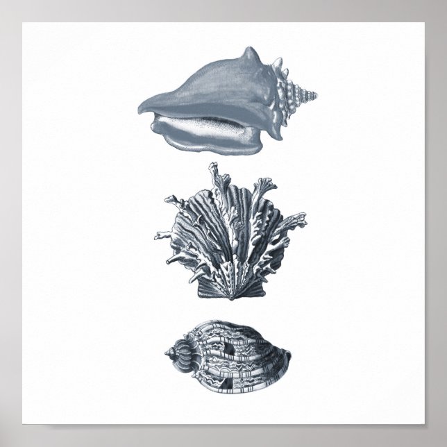 Poster Décor de plage de coquillages gris imprimé #8 (Devant)